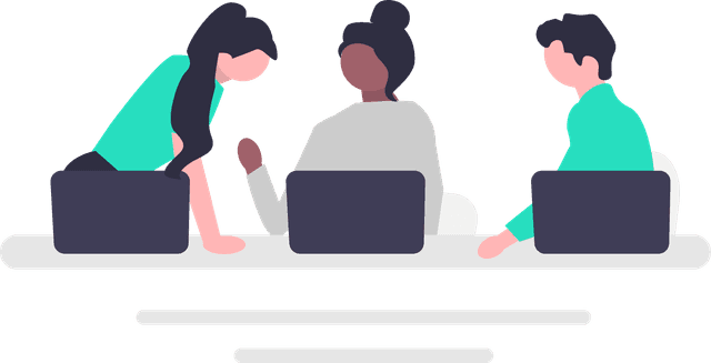 Solution visualization